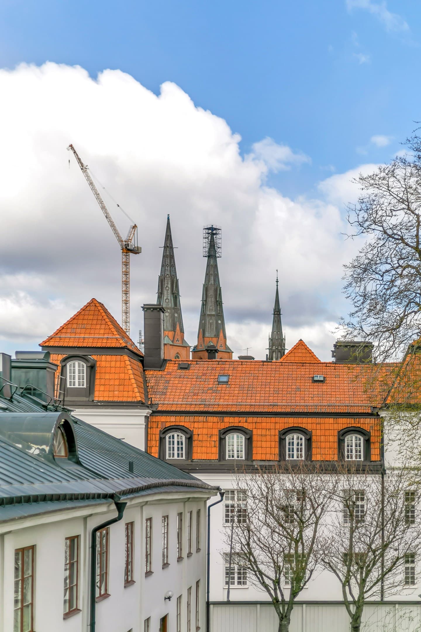 Trädgårdsgatan 16 C