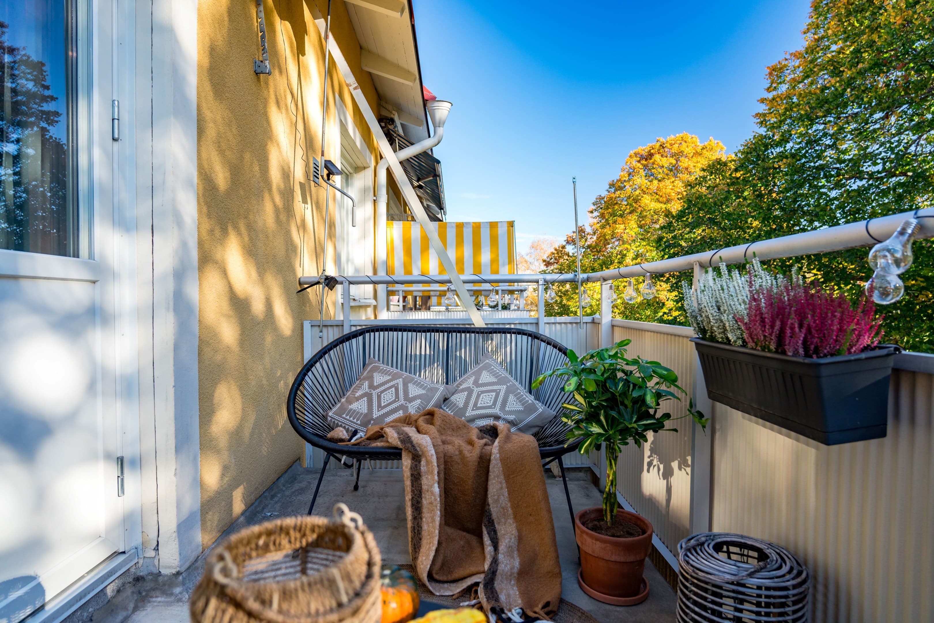Torkelsgatan 24C