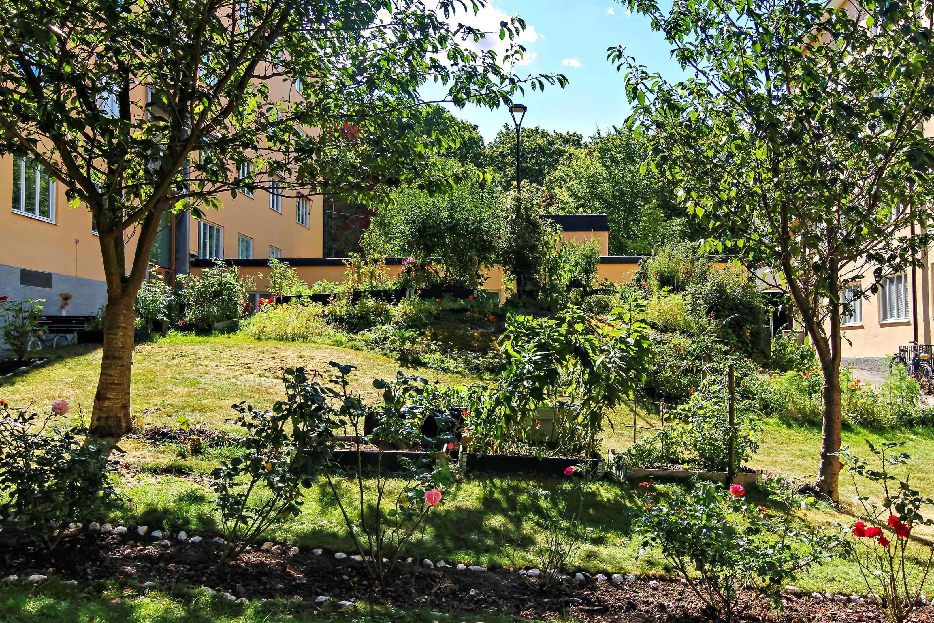 Rålambsvägen 50