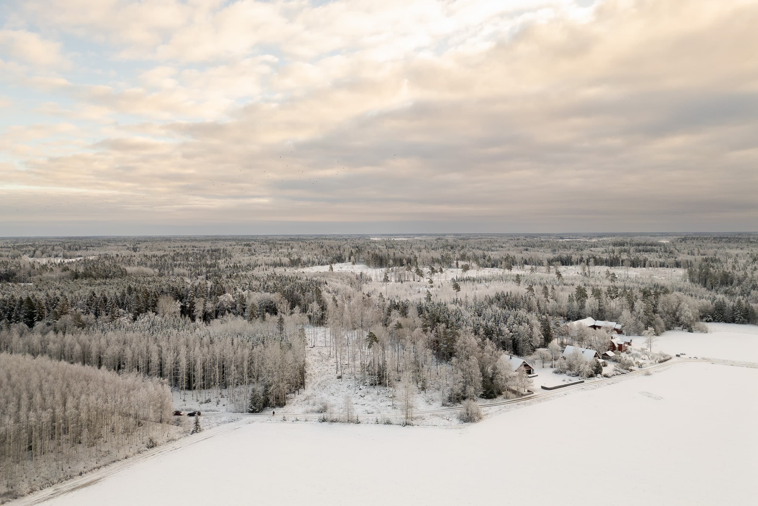 Sevalla Gröndal 1