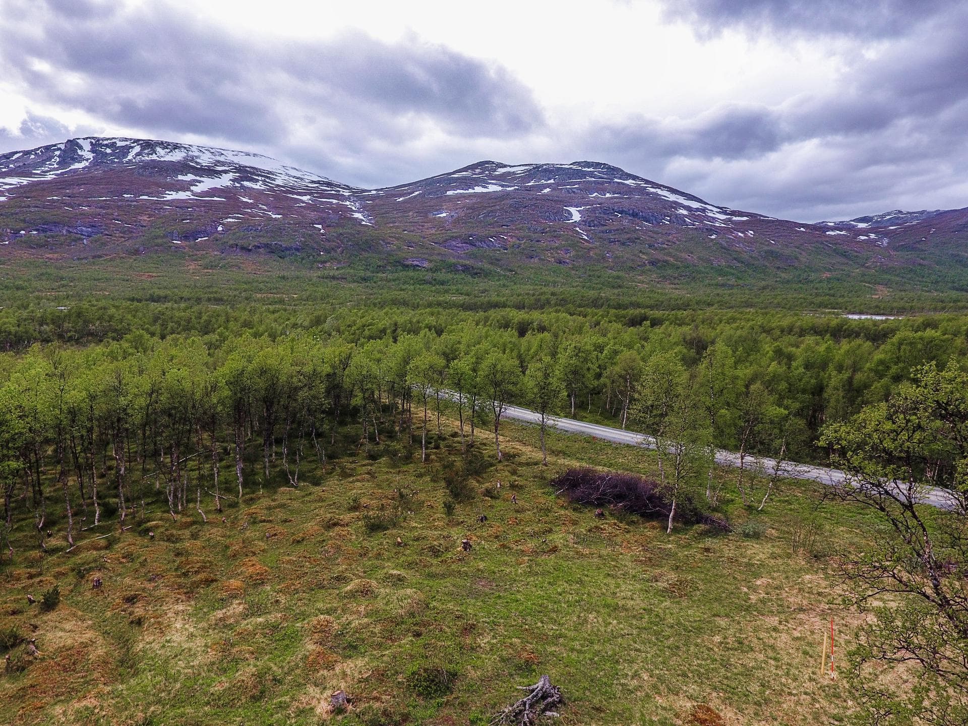 Umfors 297