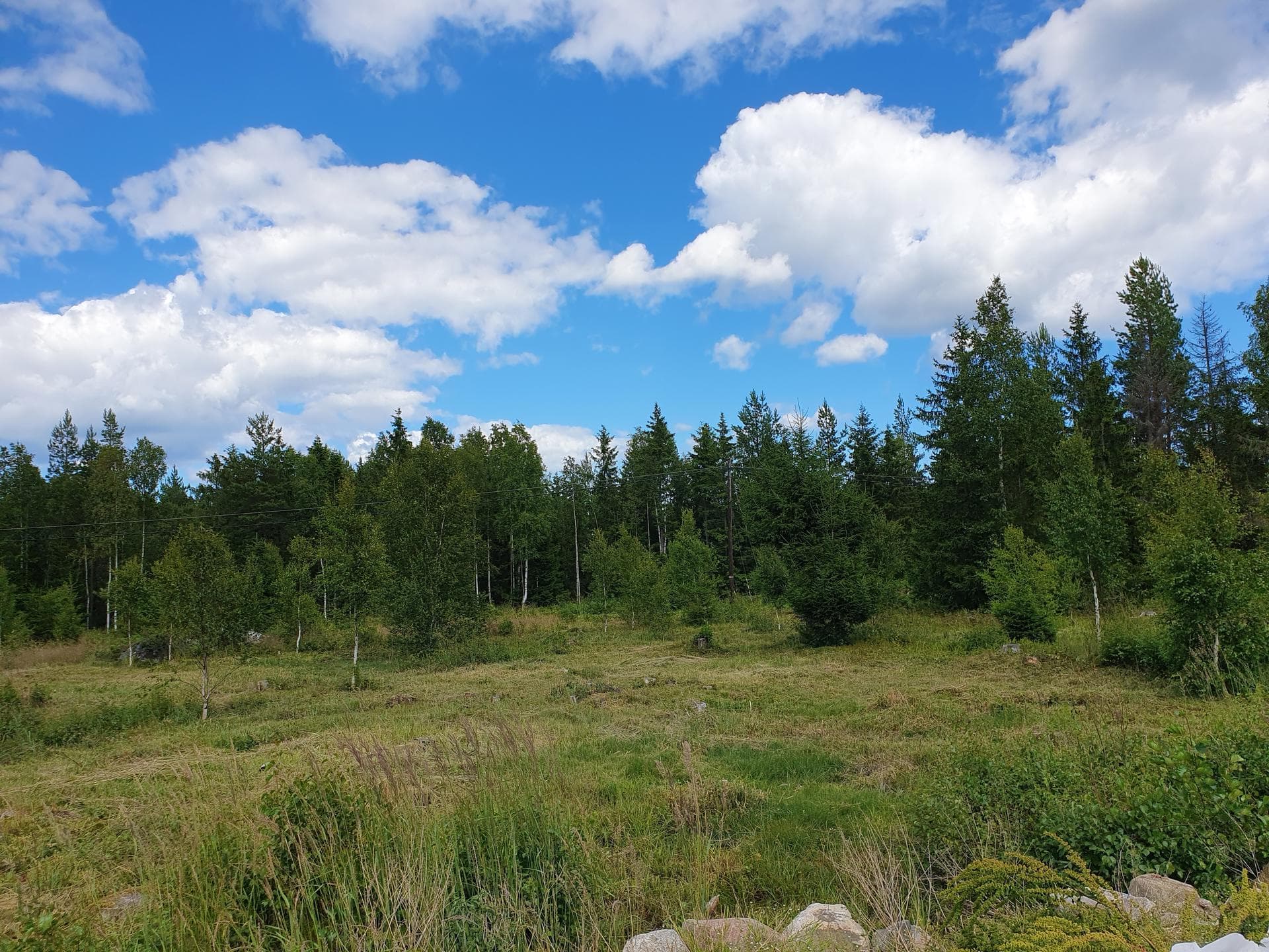 Koholma byväg 11A