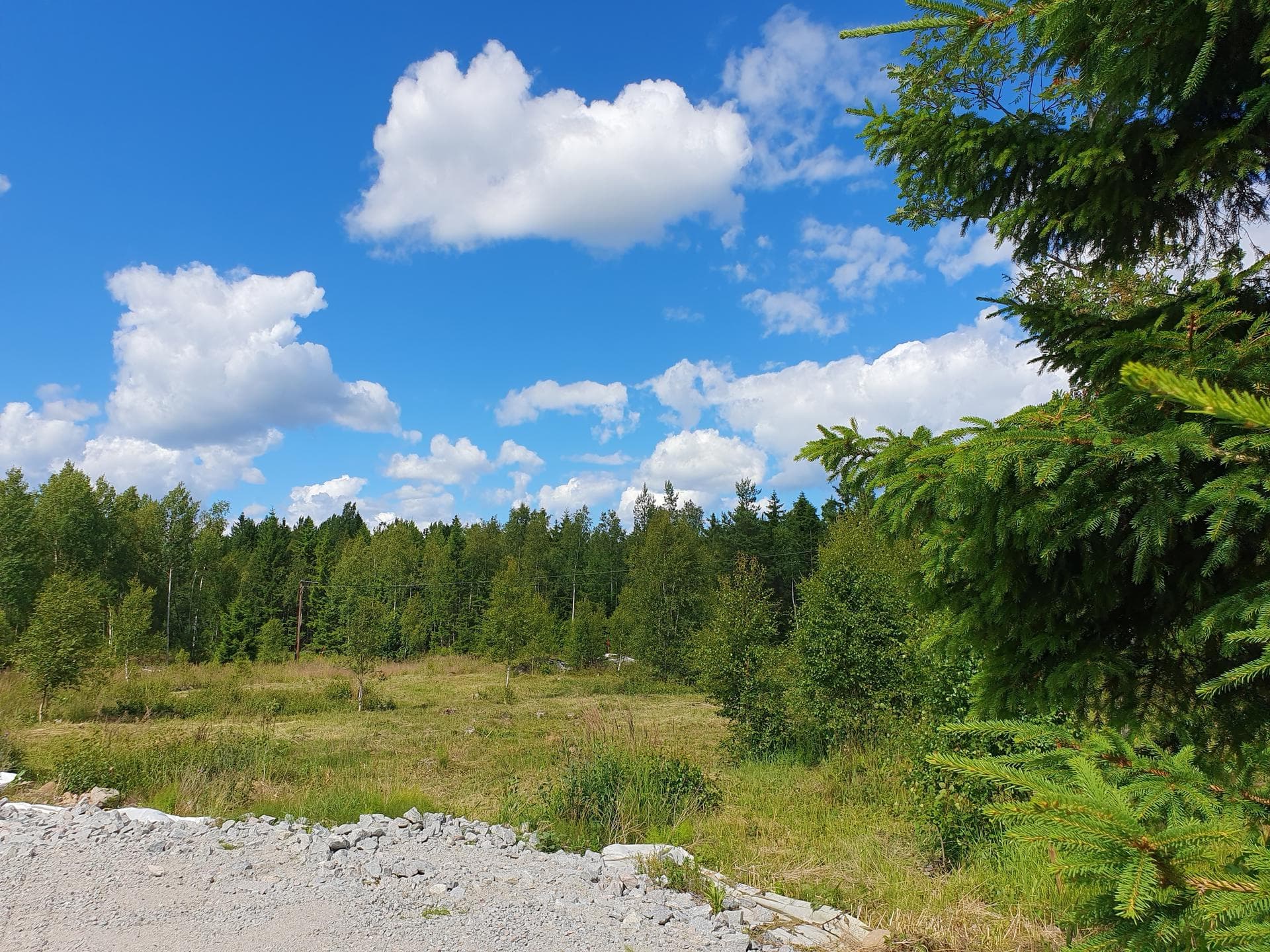 Koholma byväg 11B