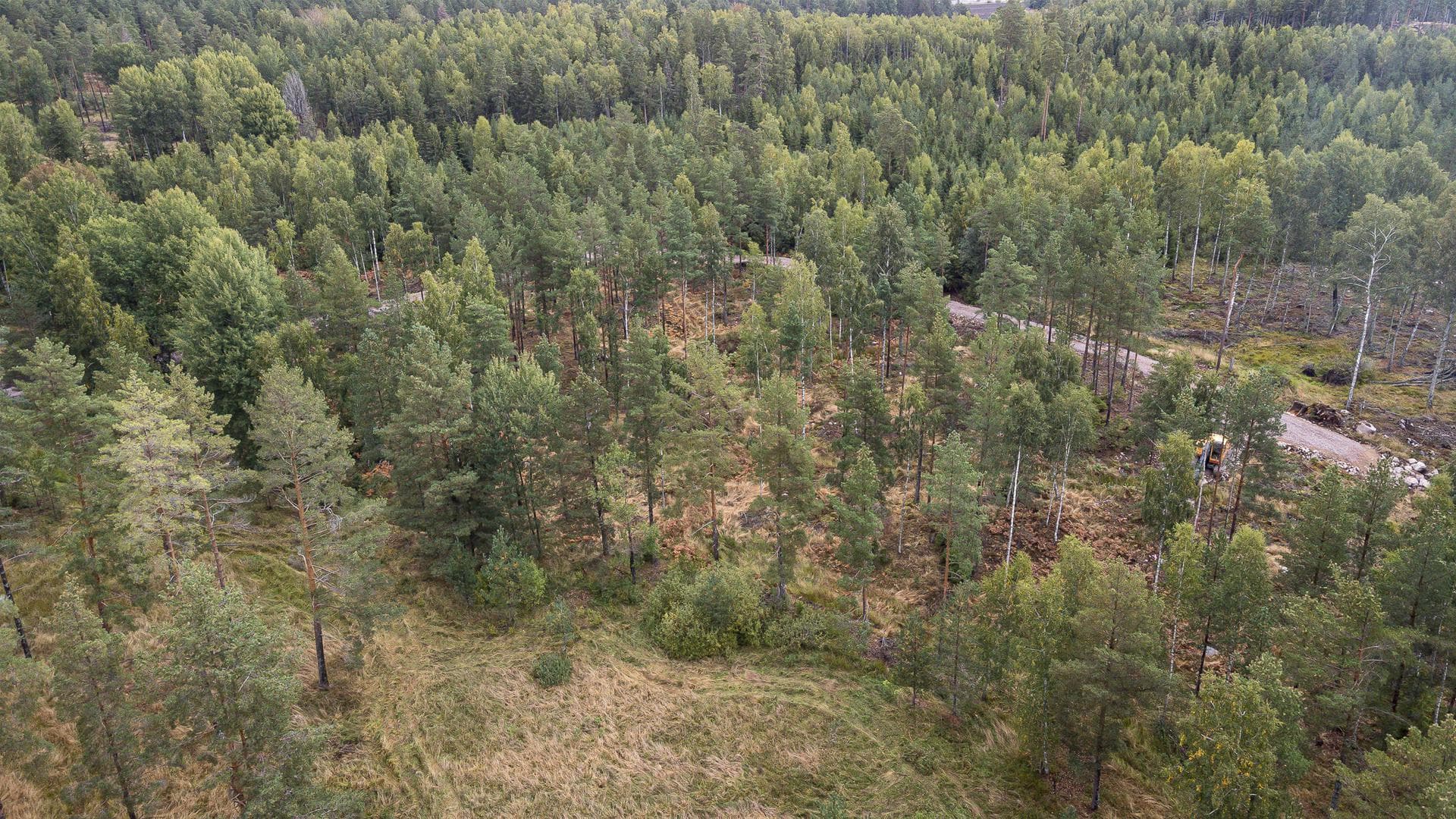 Talldungen Årby 51