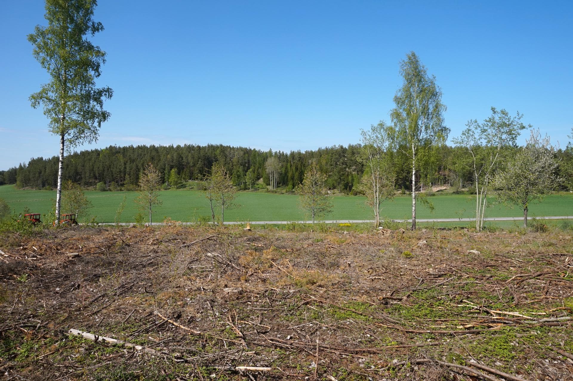 Holmtebo