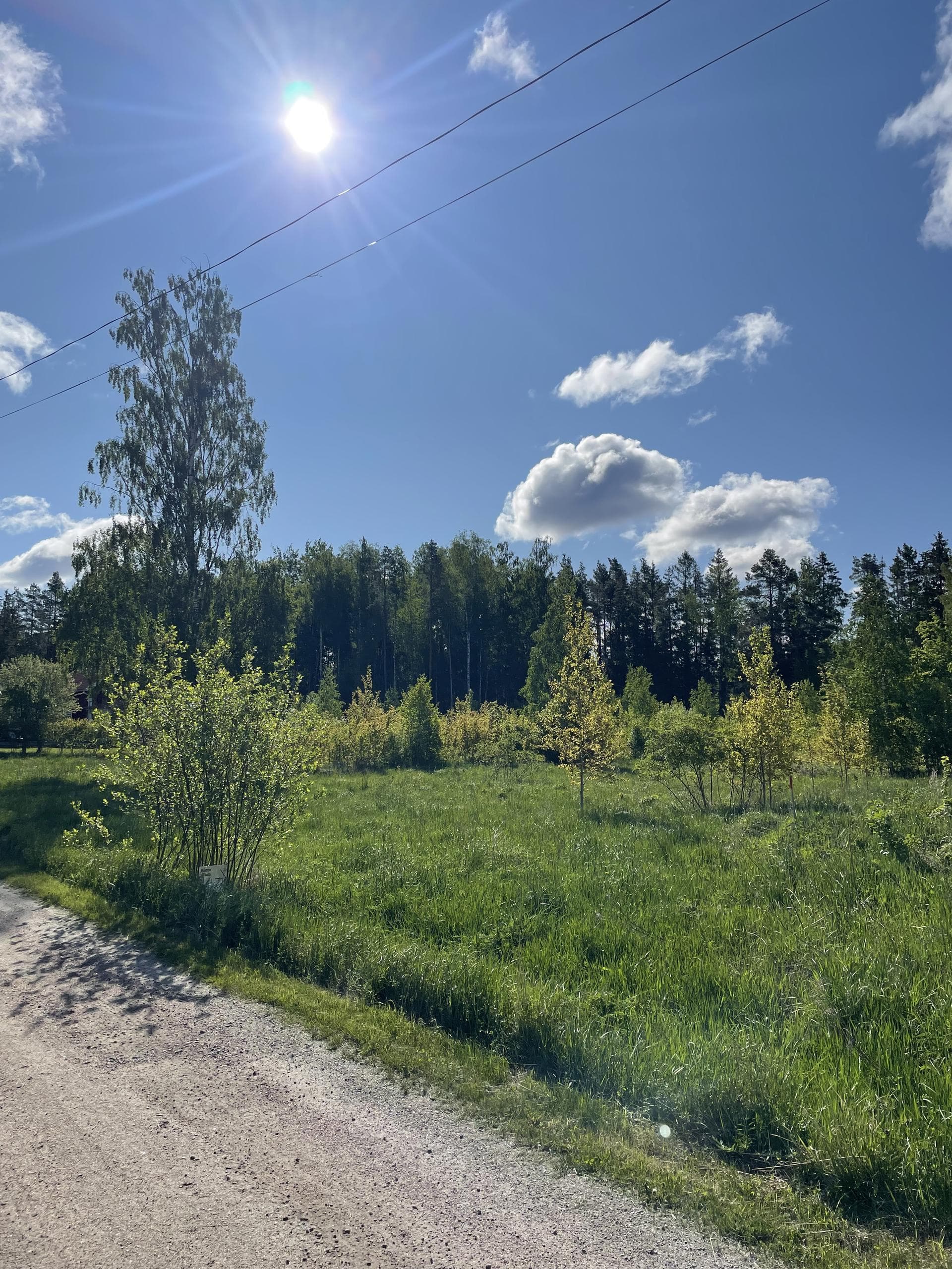 Bäckvägen