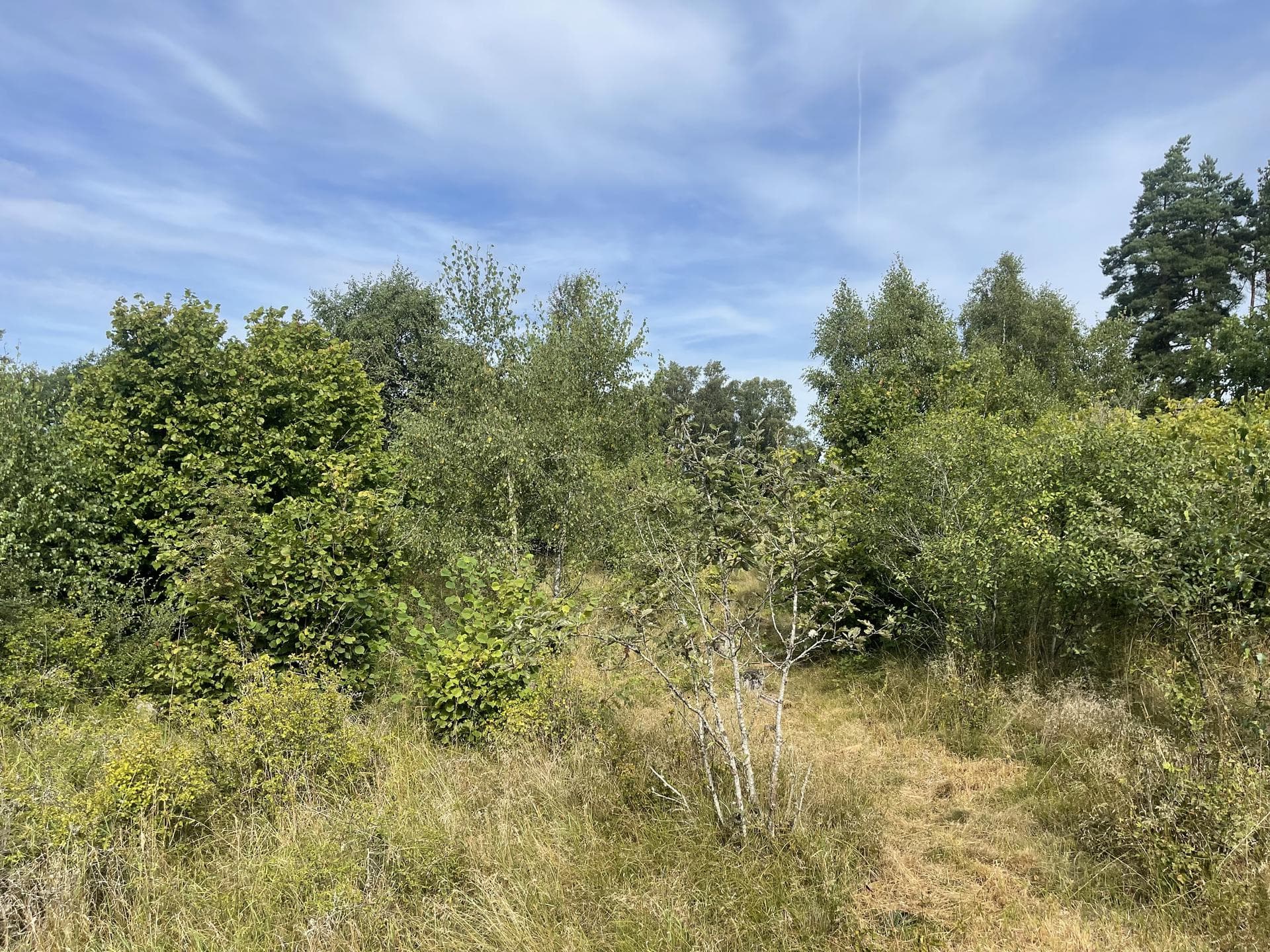 Dörby Malm