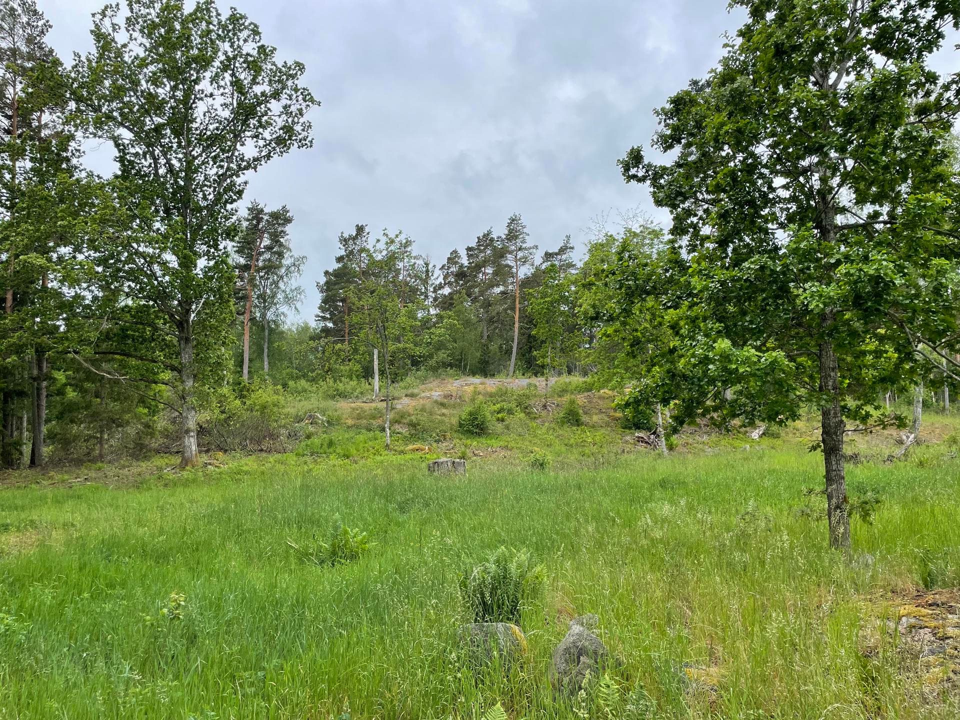 Duvnäsvägen 12 A och B