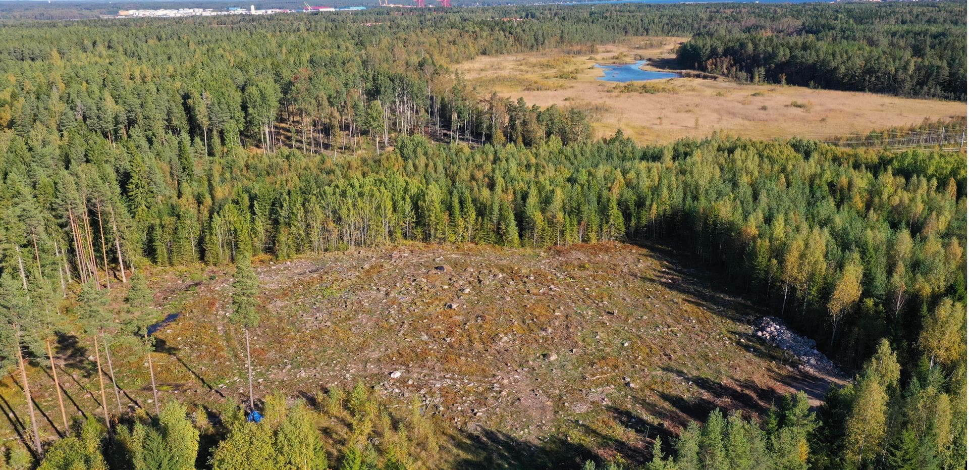 JÄRVSTA 16:92