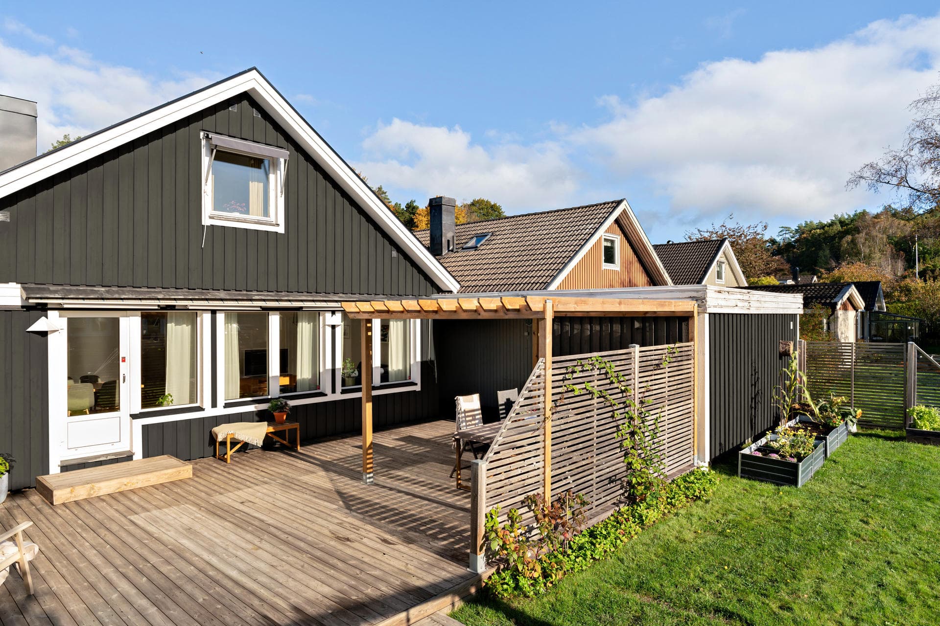 Stutaliden 16