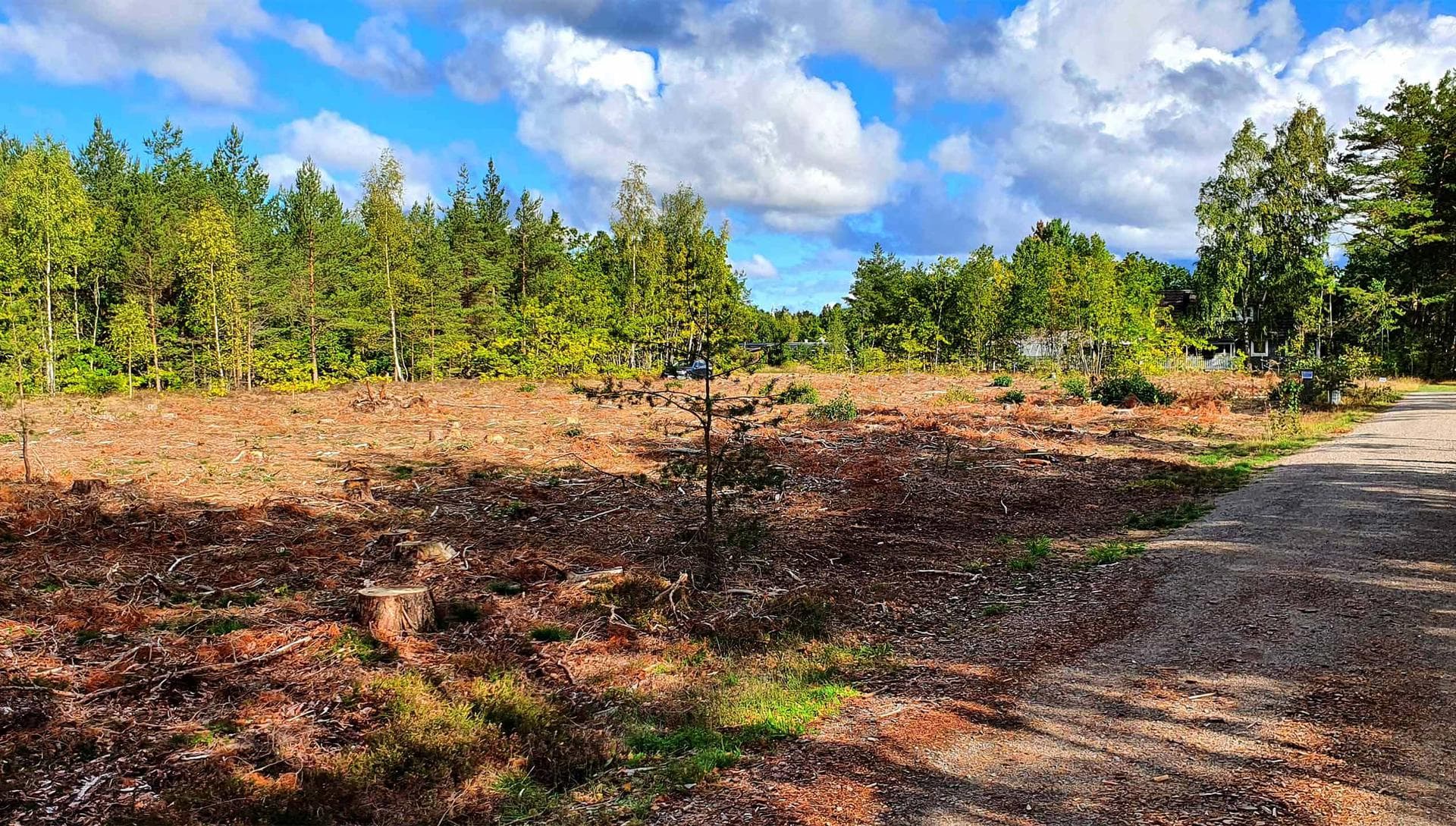 Väpnarens väg 2A + 2B