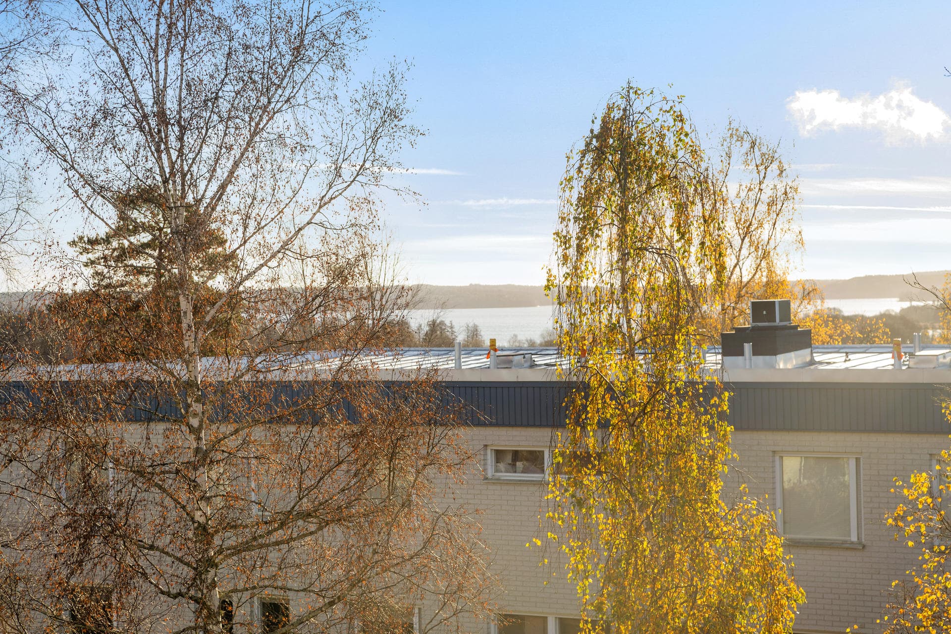 Björnbärsstigen 22