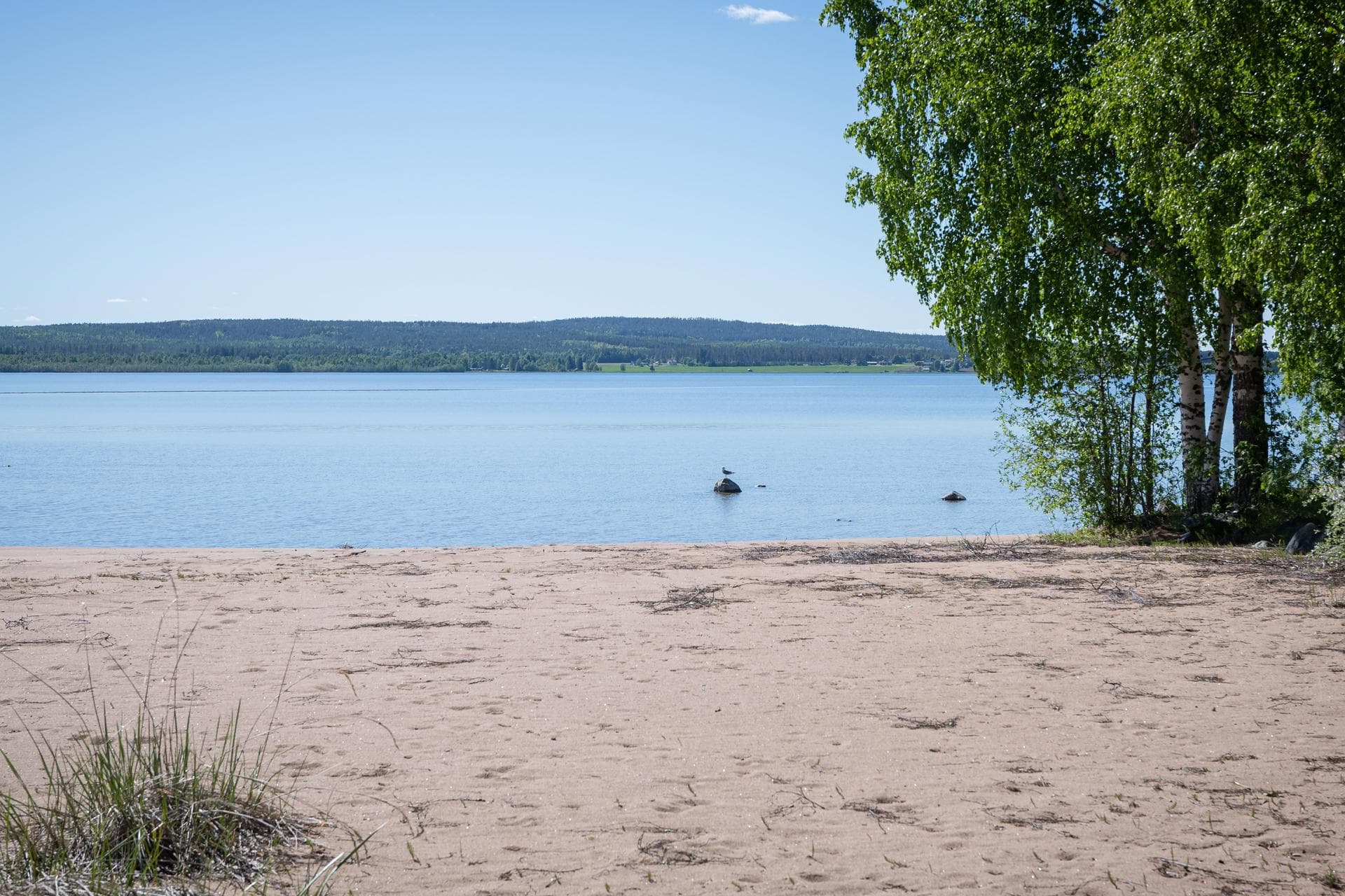Gäddviksvägen 54
