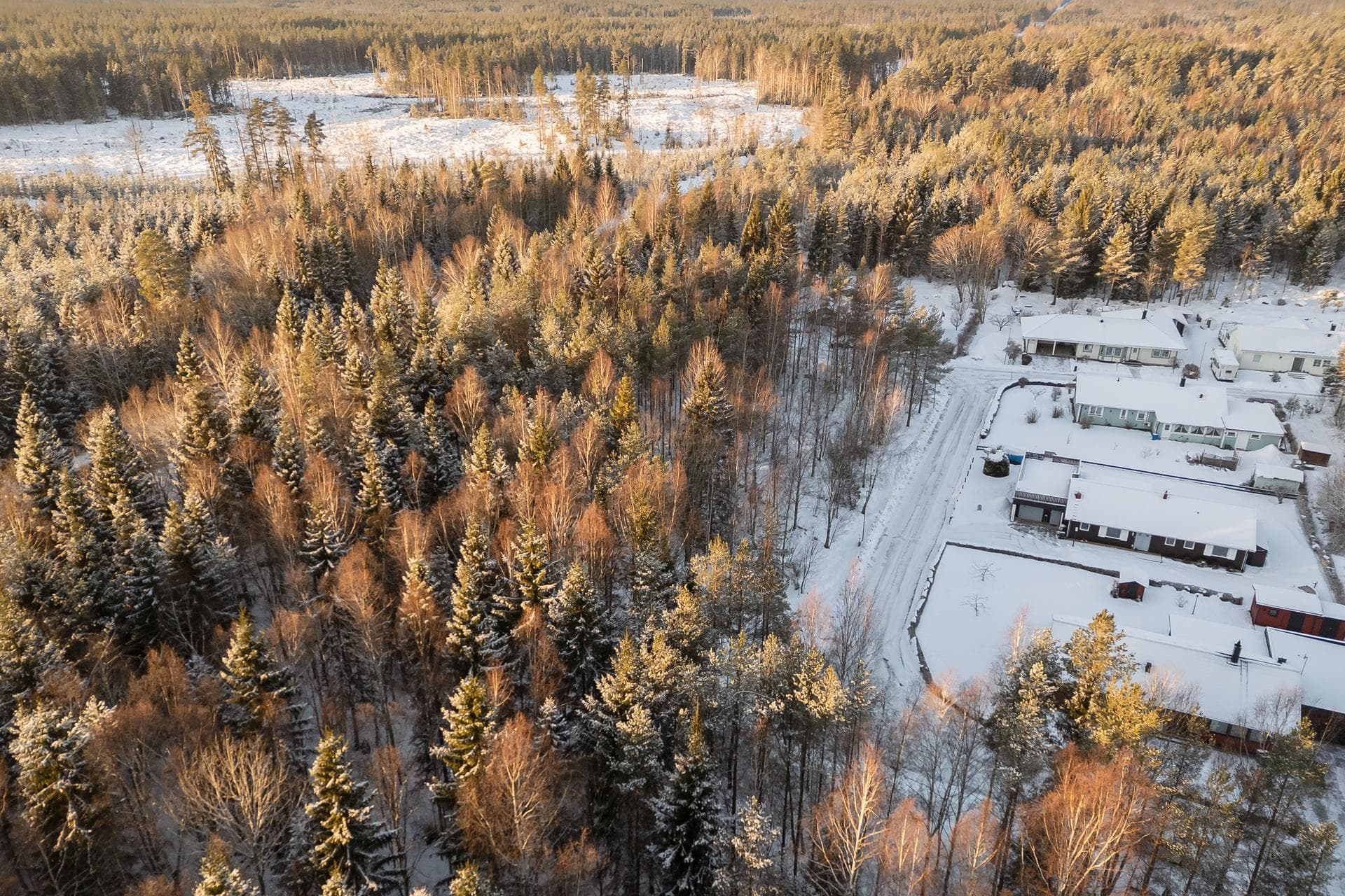Blåbärsvägen 37