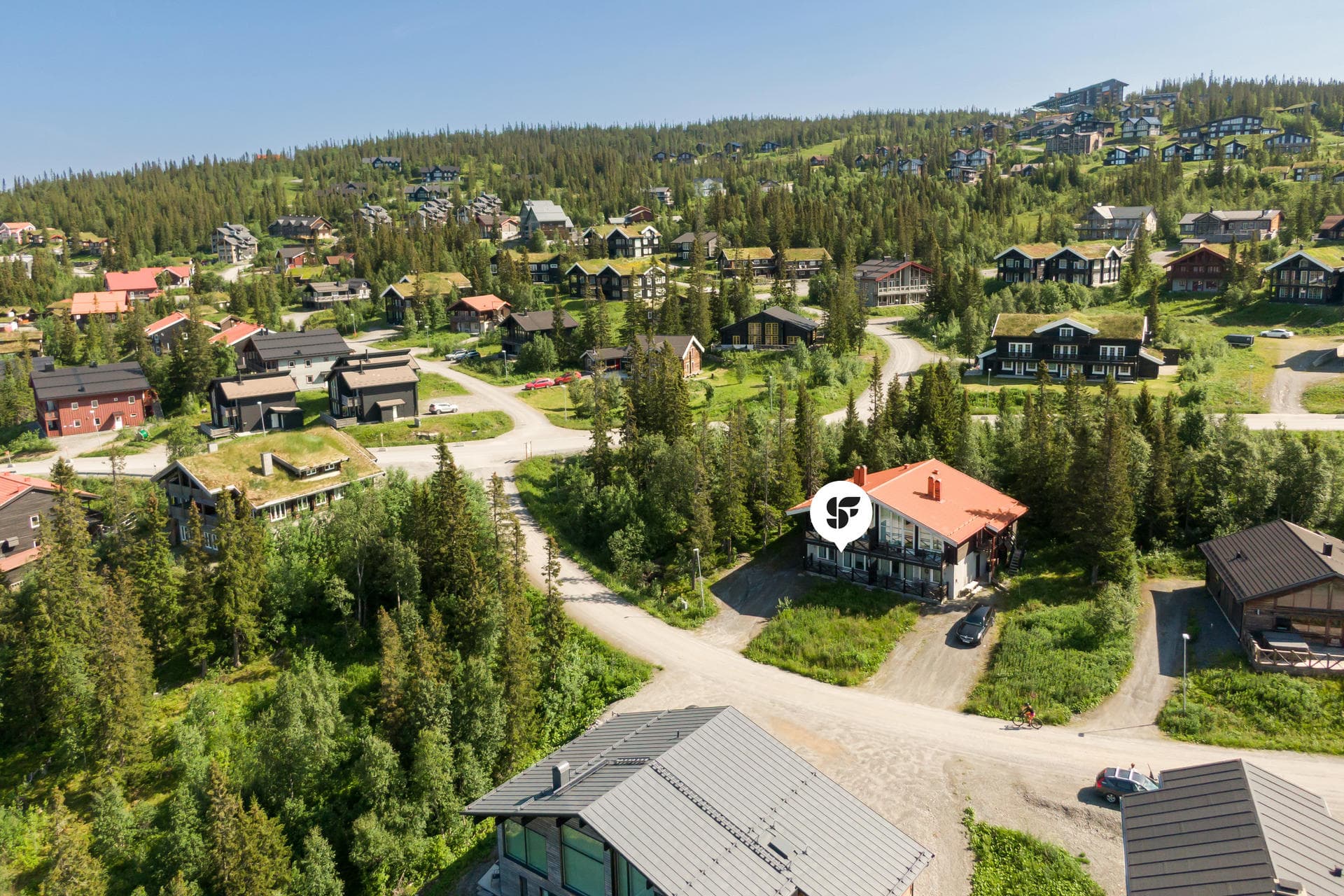 Björnen Falken 1C