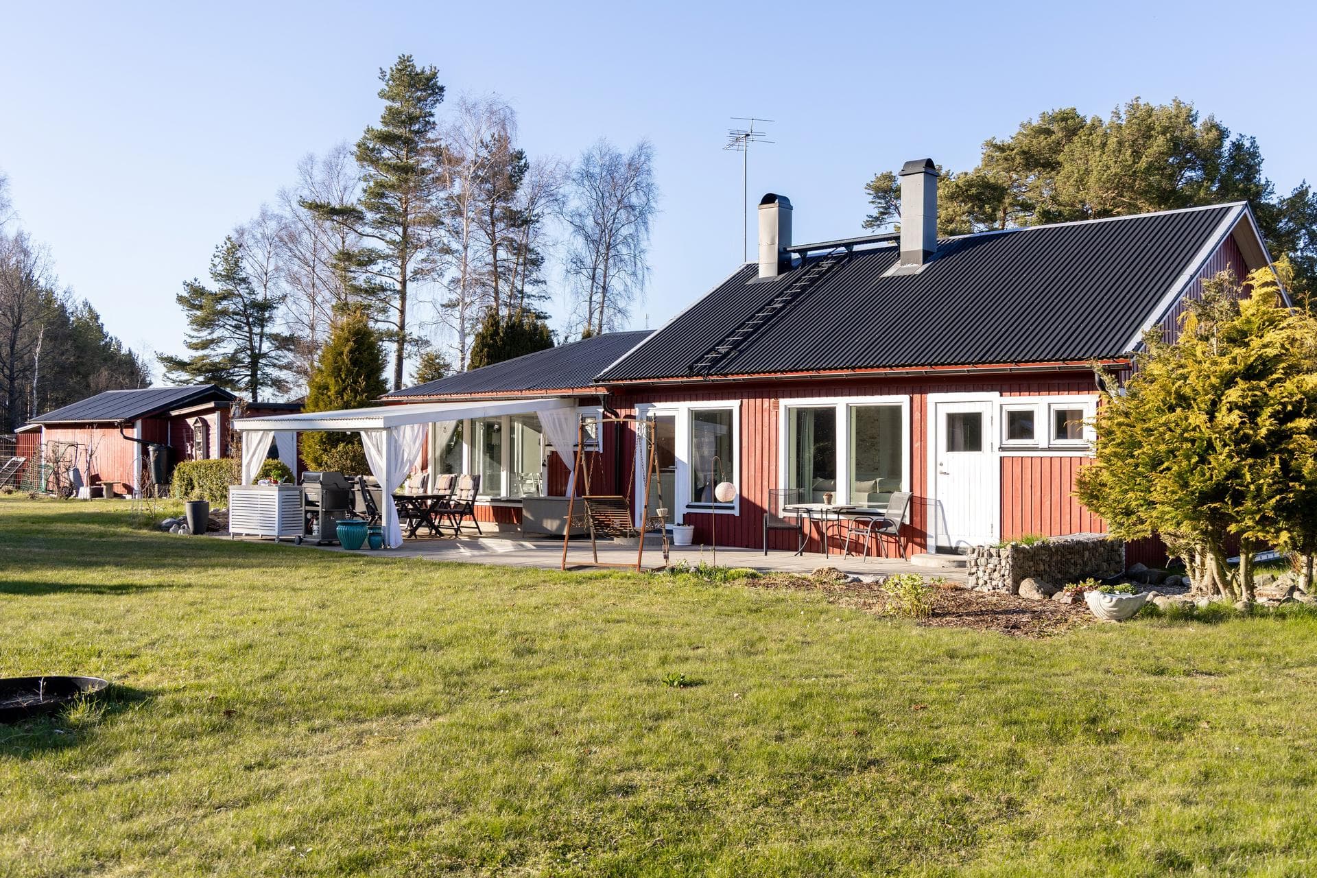 Alskog Svajde 914