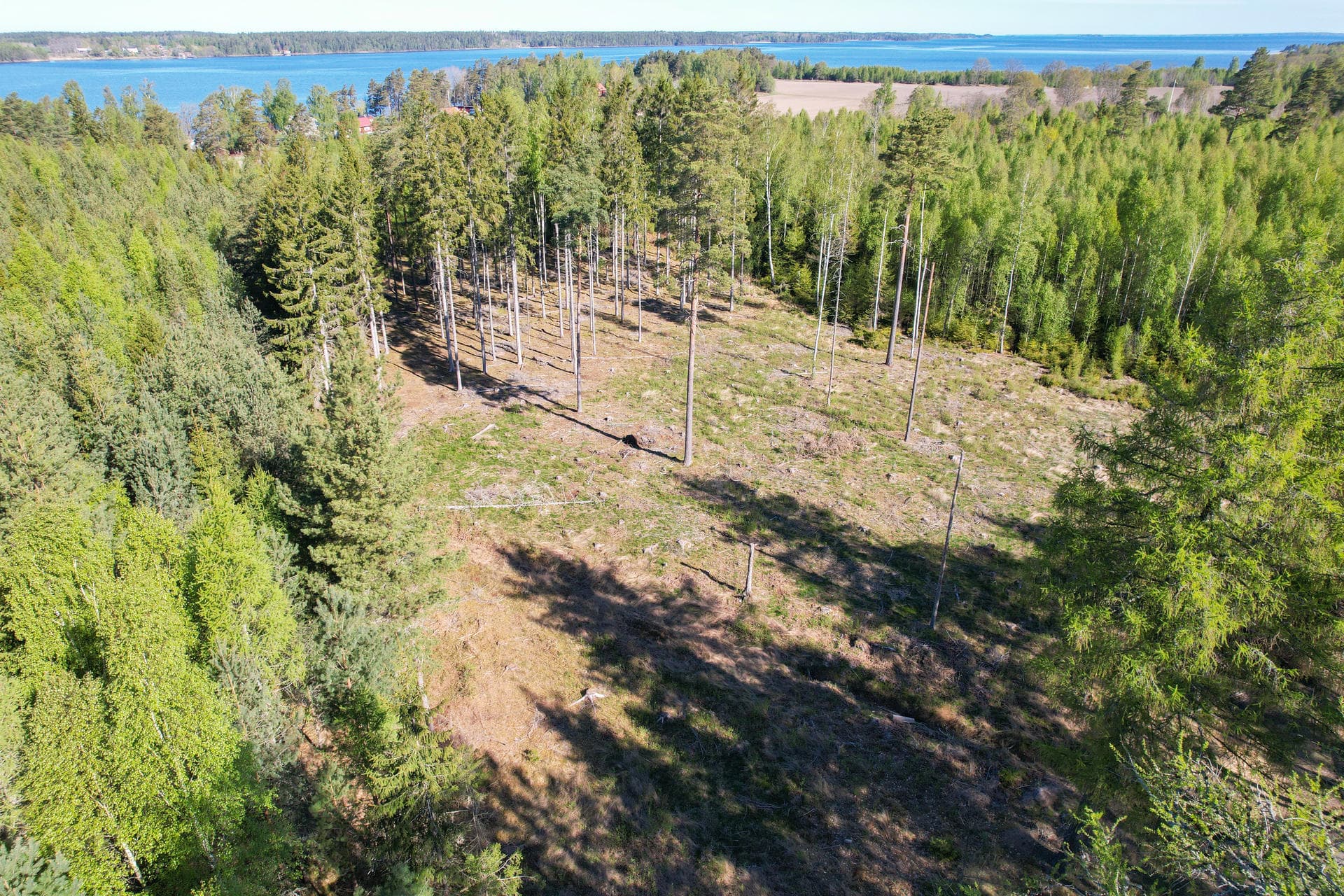 Köp en tomt och bygg ett nytt hus vid Ekenäs