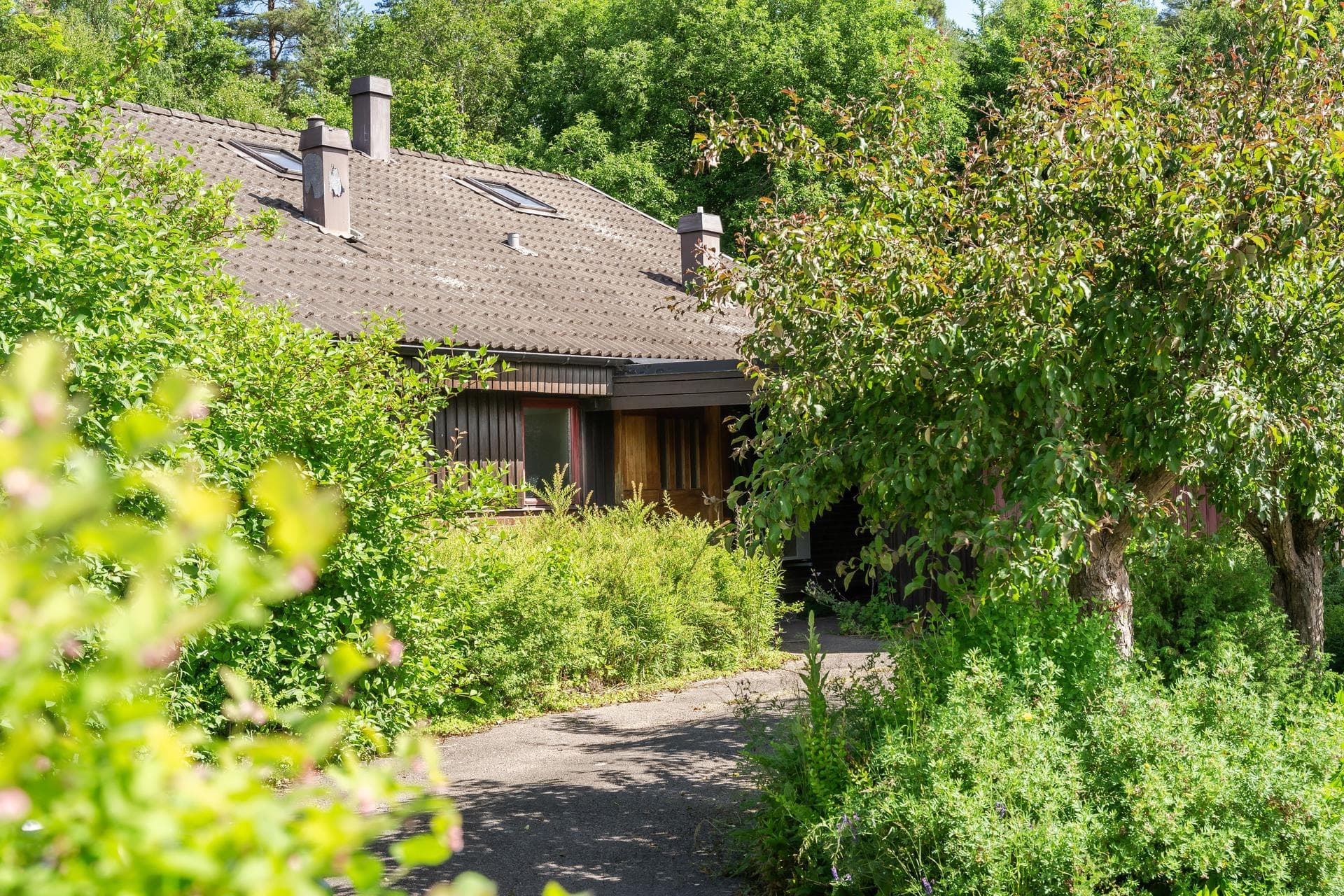 Olivvägen