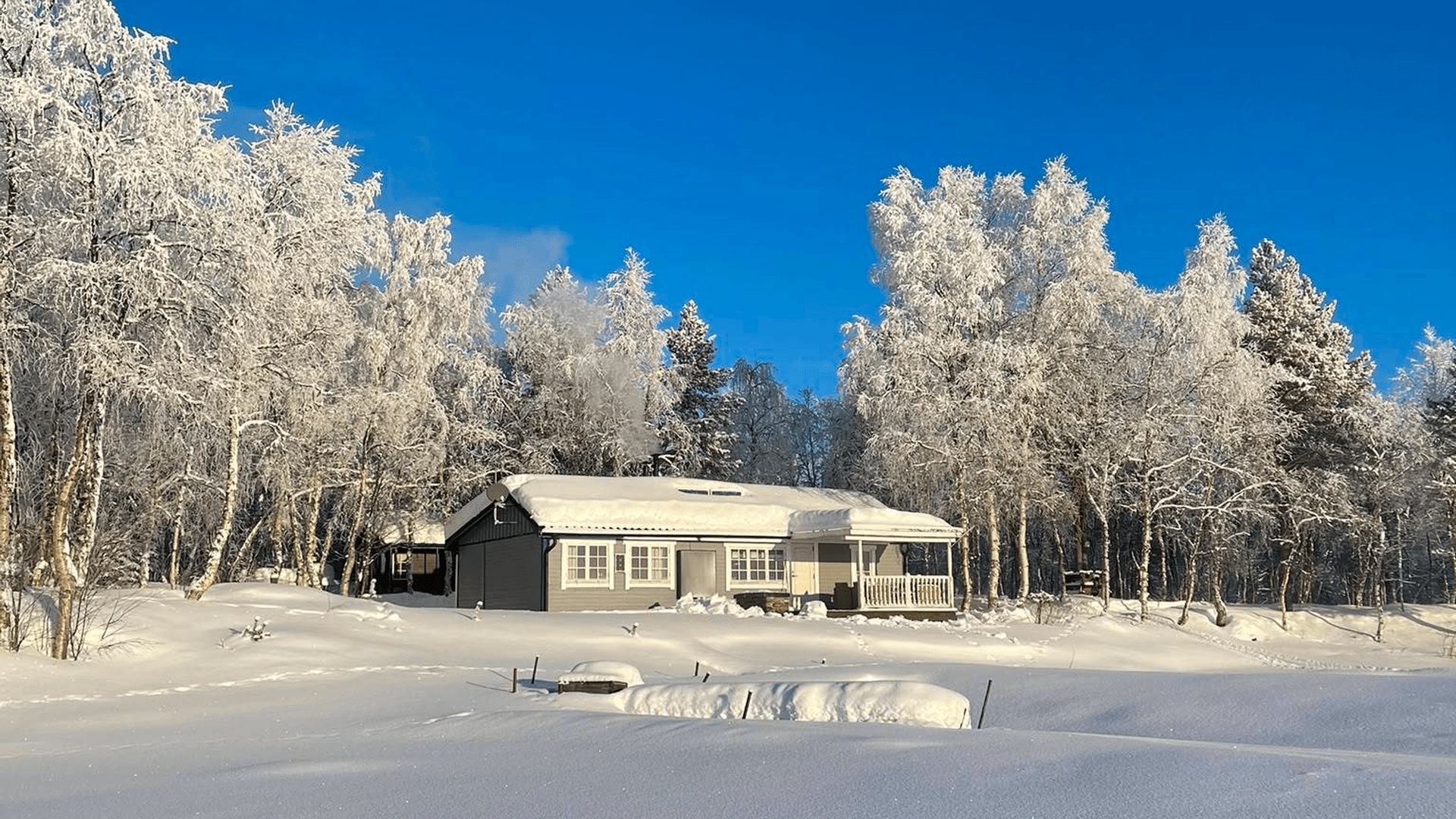 Paksuniemi Luspen