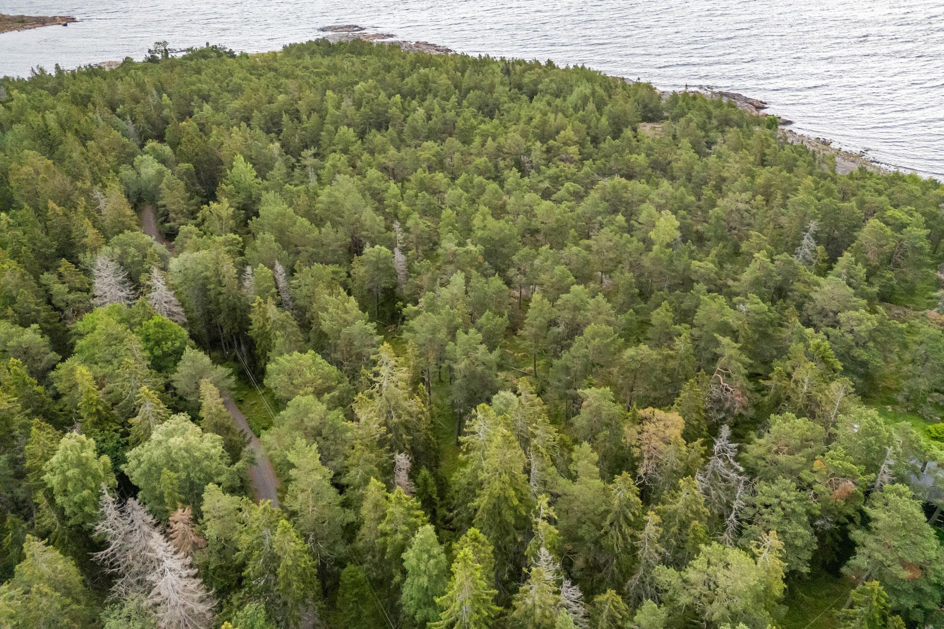 Skatuddsvägen 126