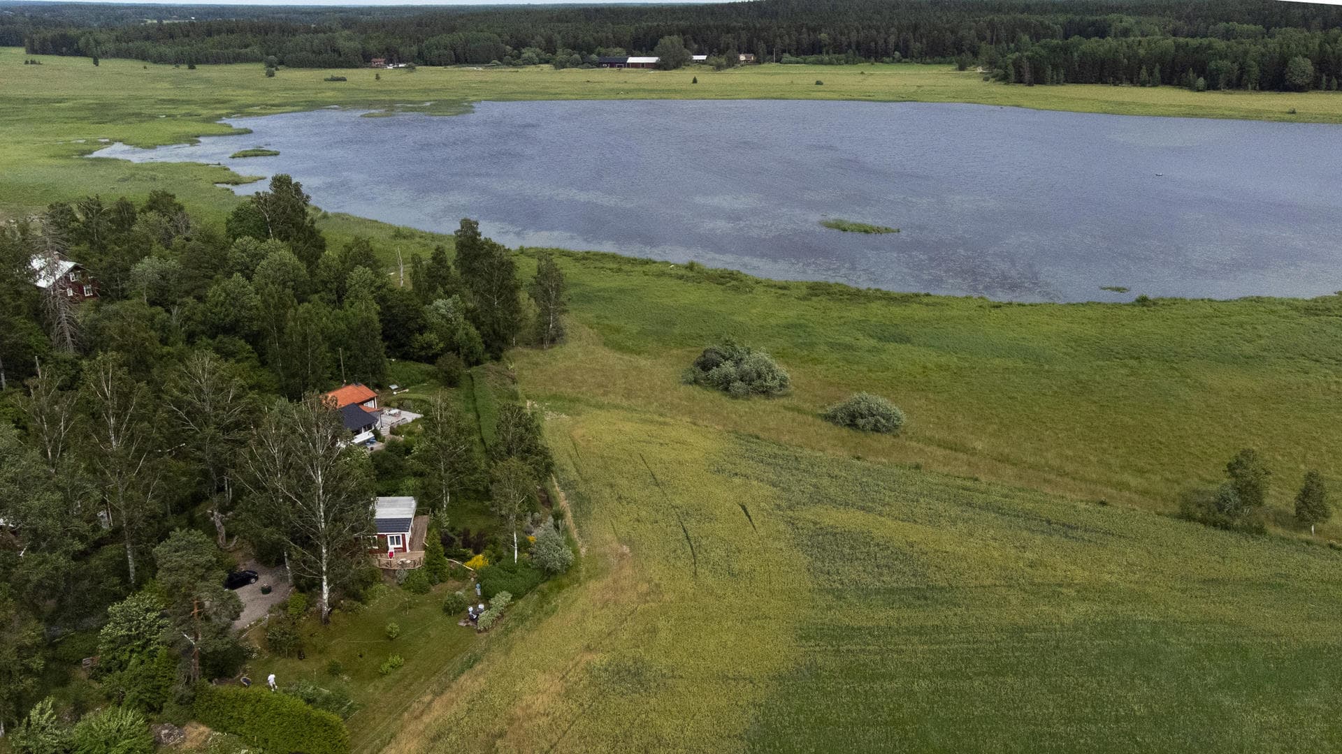 Rörbo 113