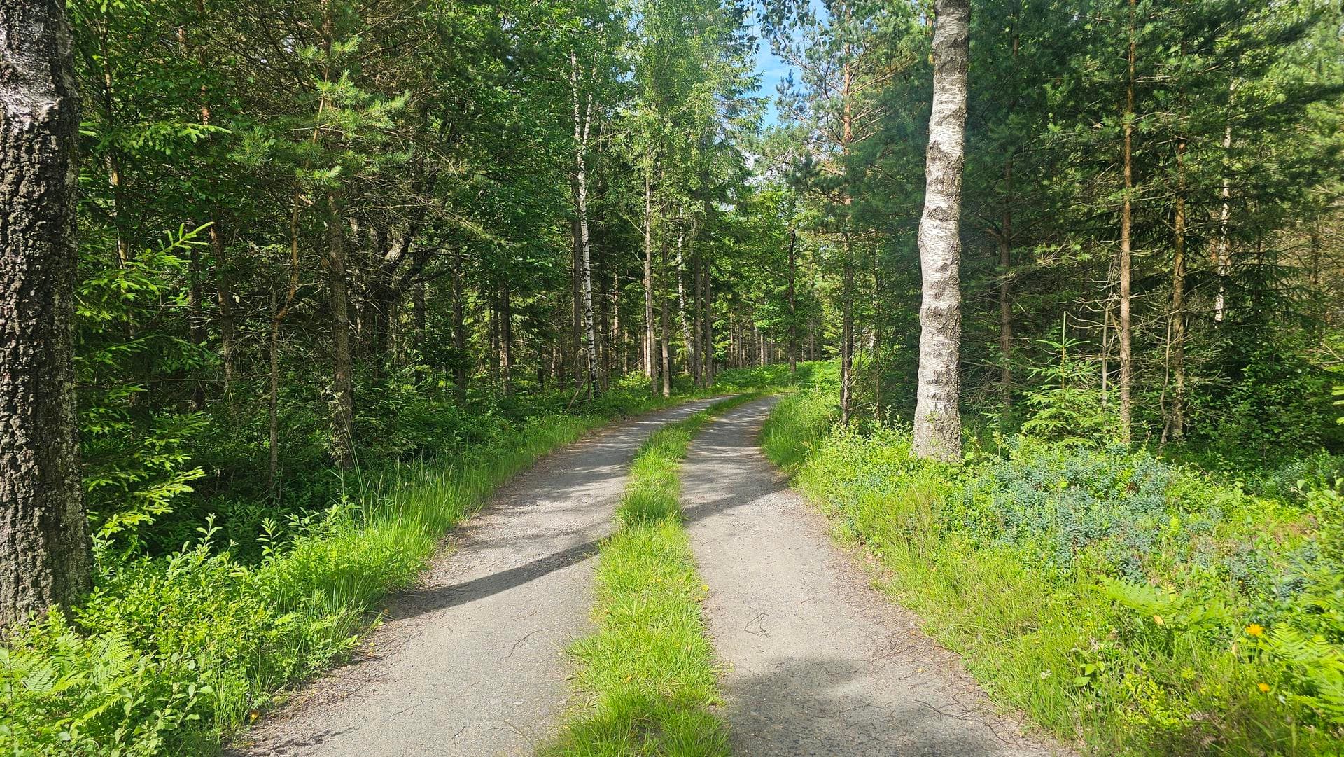 Svante Påhls väg XX
