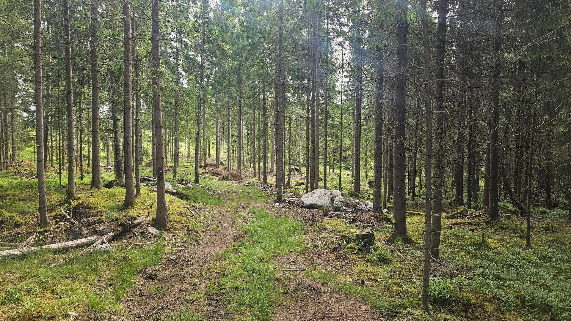 Österdalsvägen XX