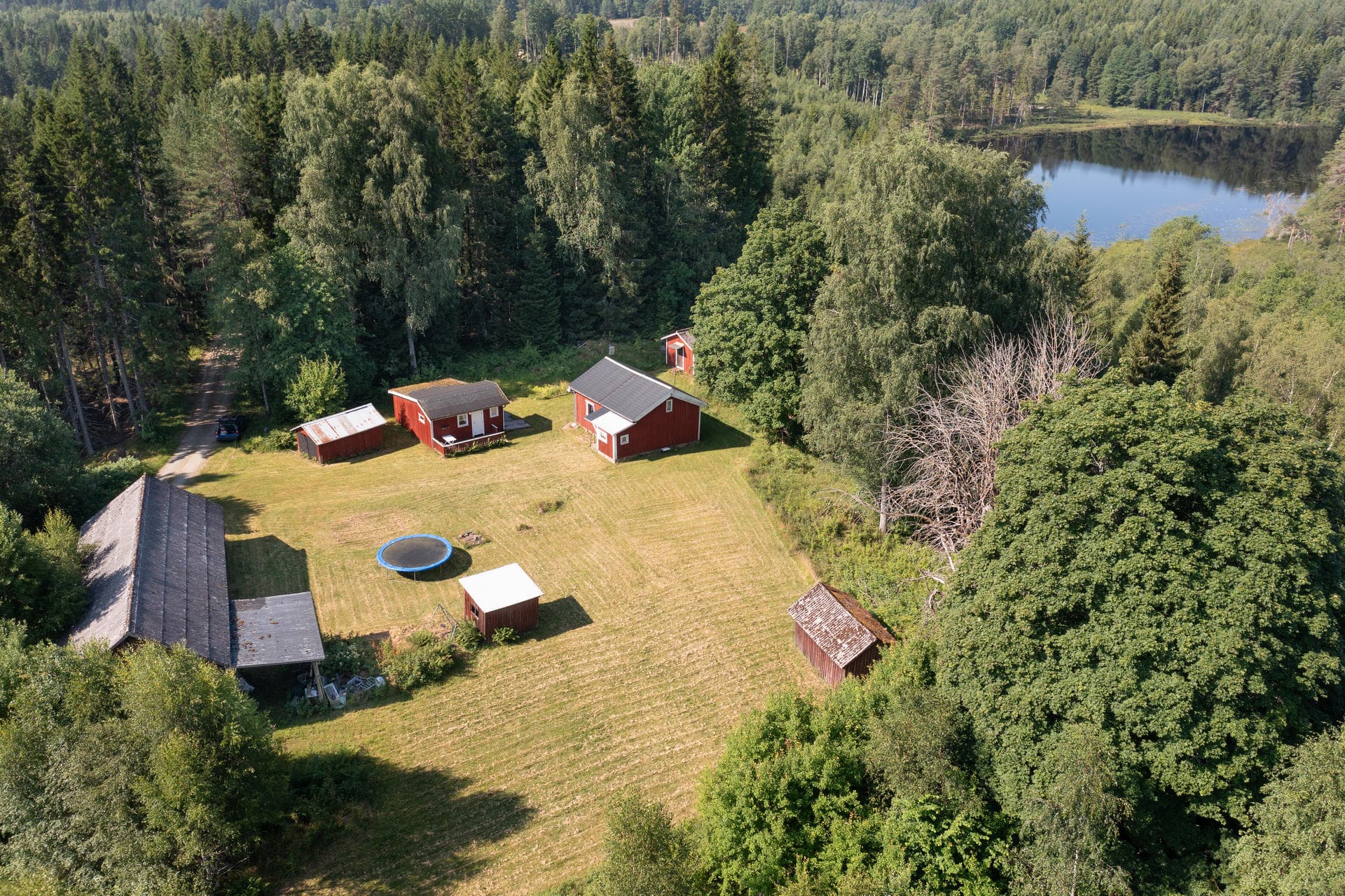 Fjäll Skaterud