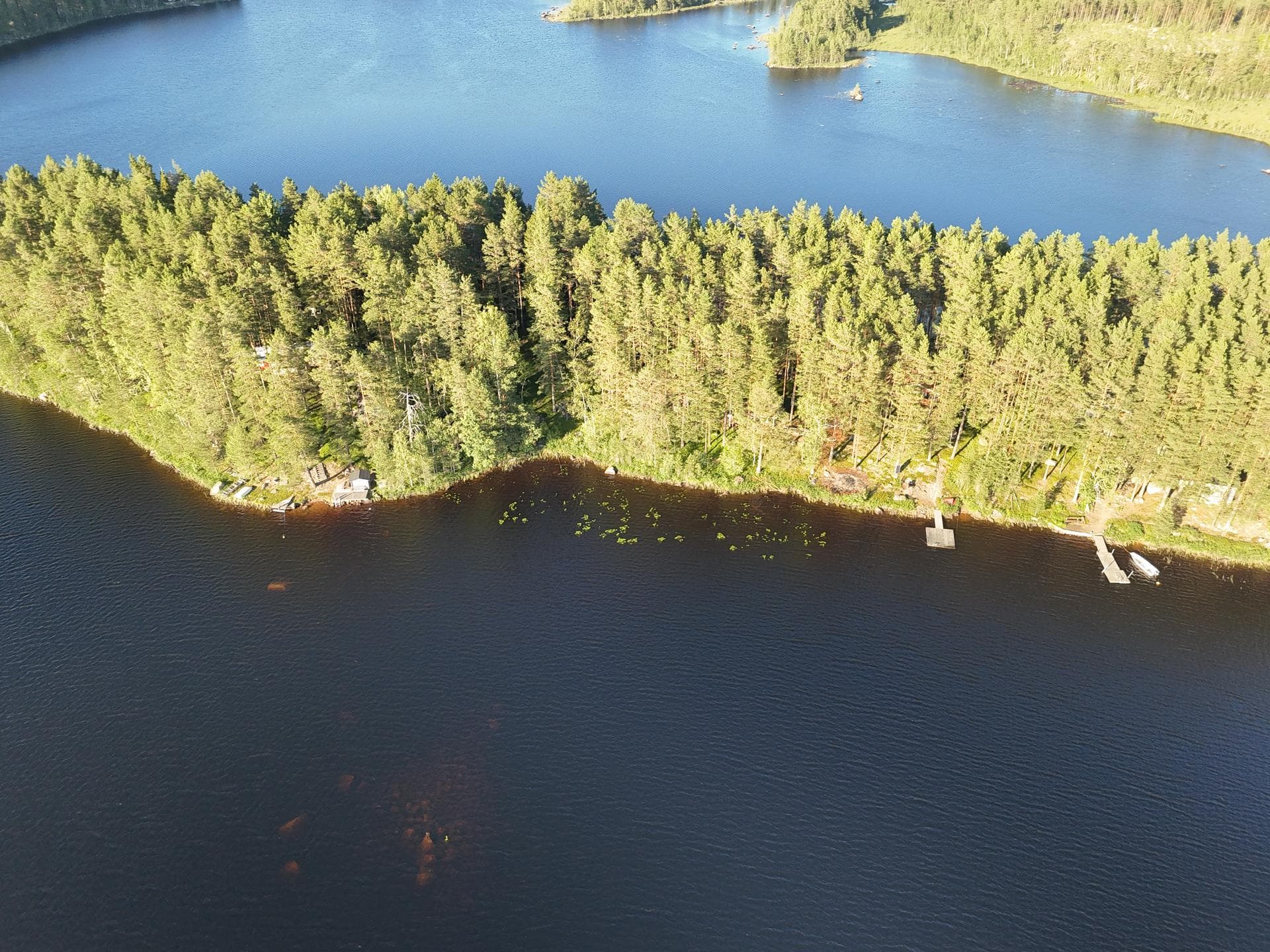 Björnholmen