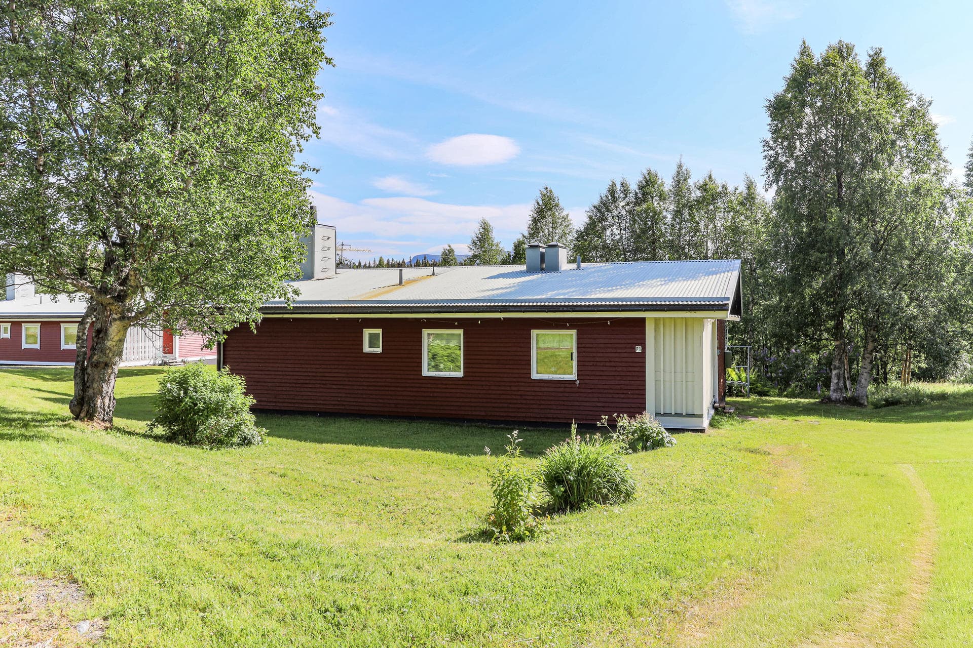 Ajaureforsen 215