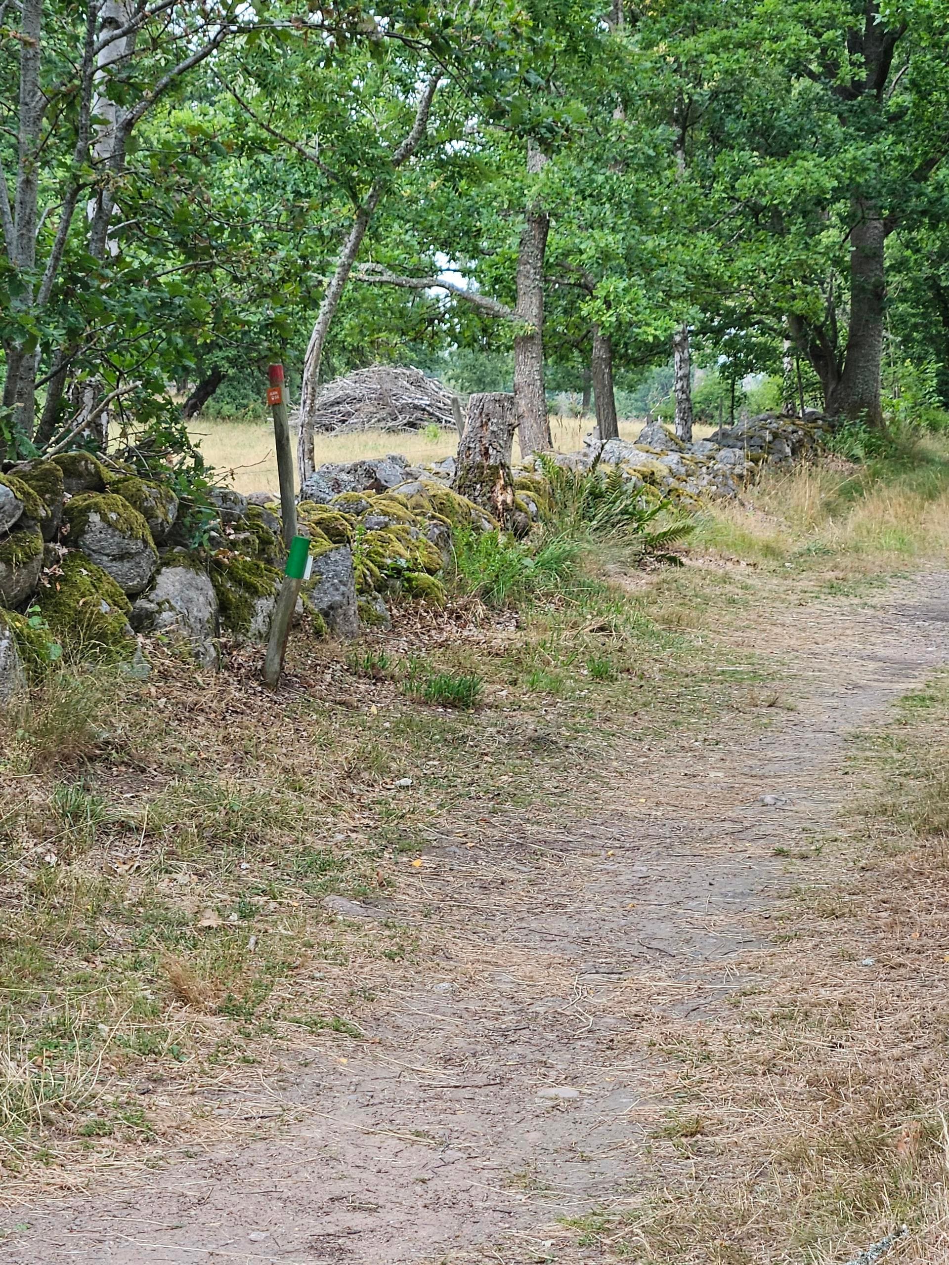 Norra Äspeviksvägen 5
