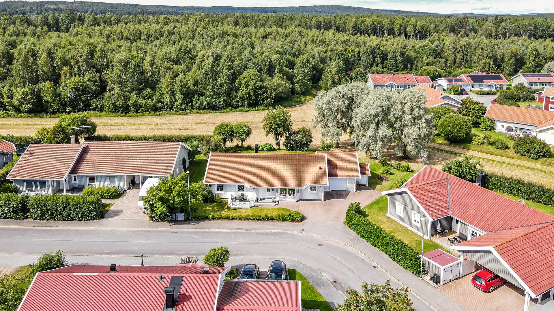 Kattfotsvägen