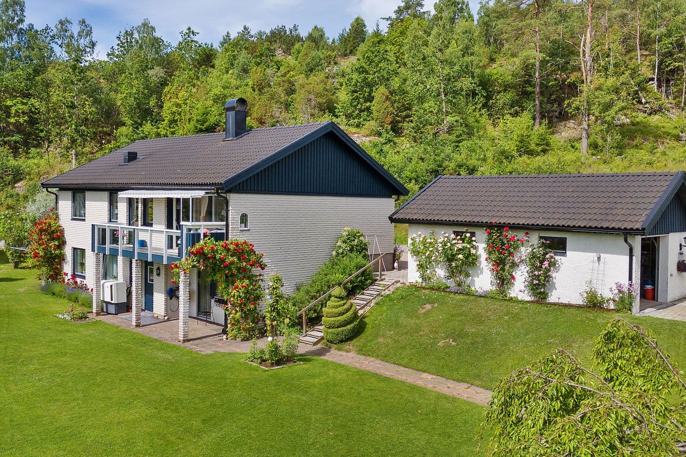 Halleröd 419