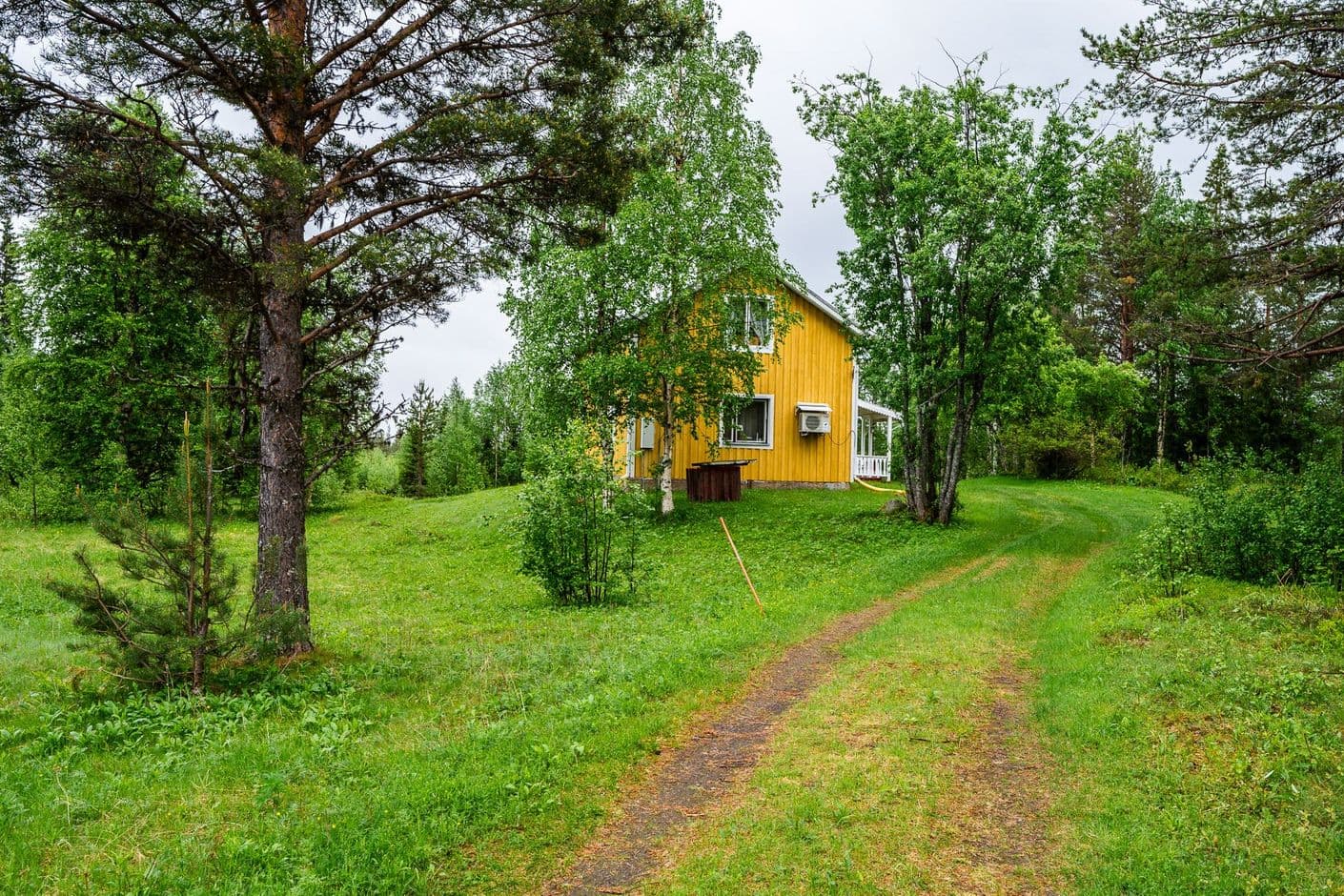 Kilvokielinen 6