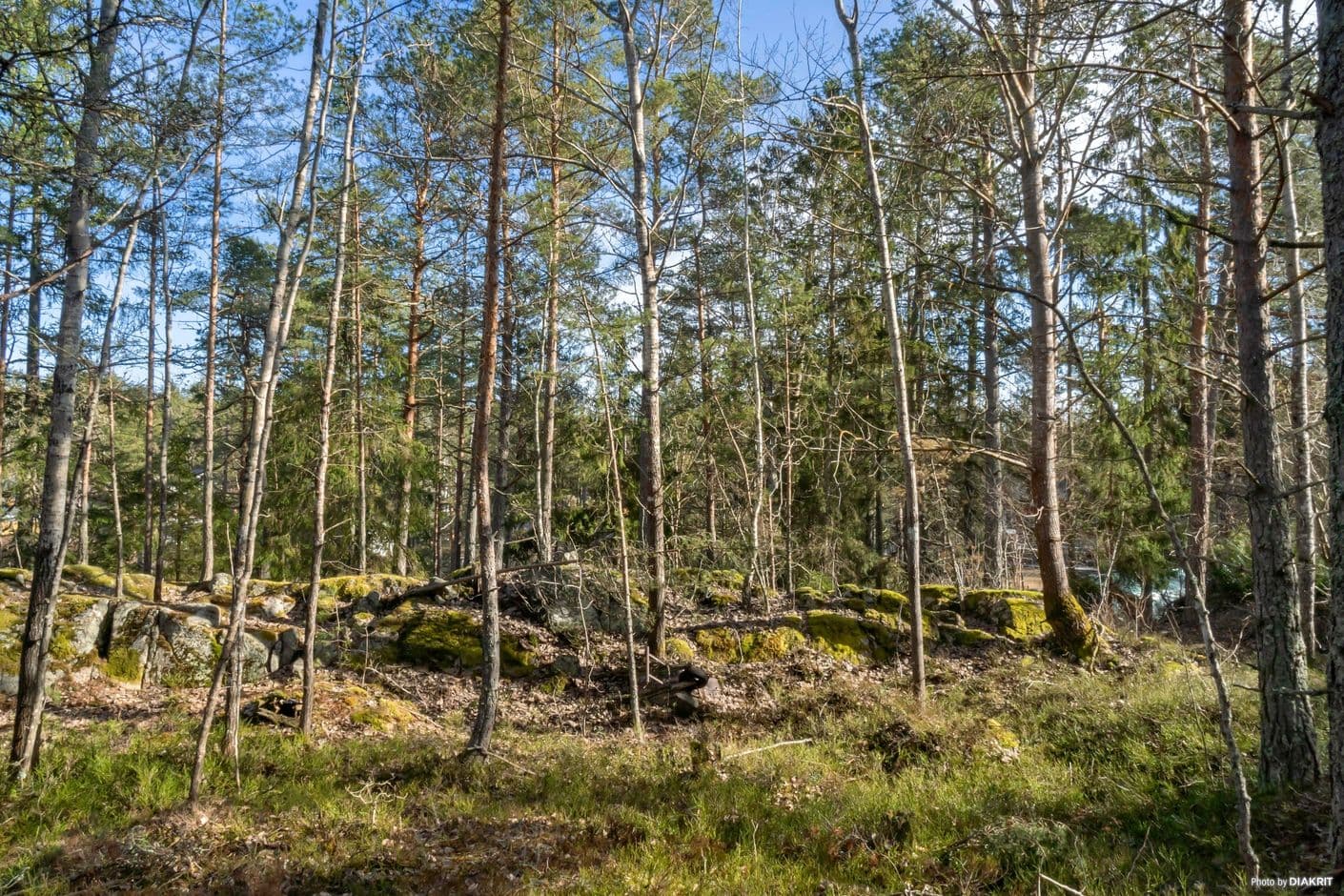 Fjärilstigen 9