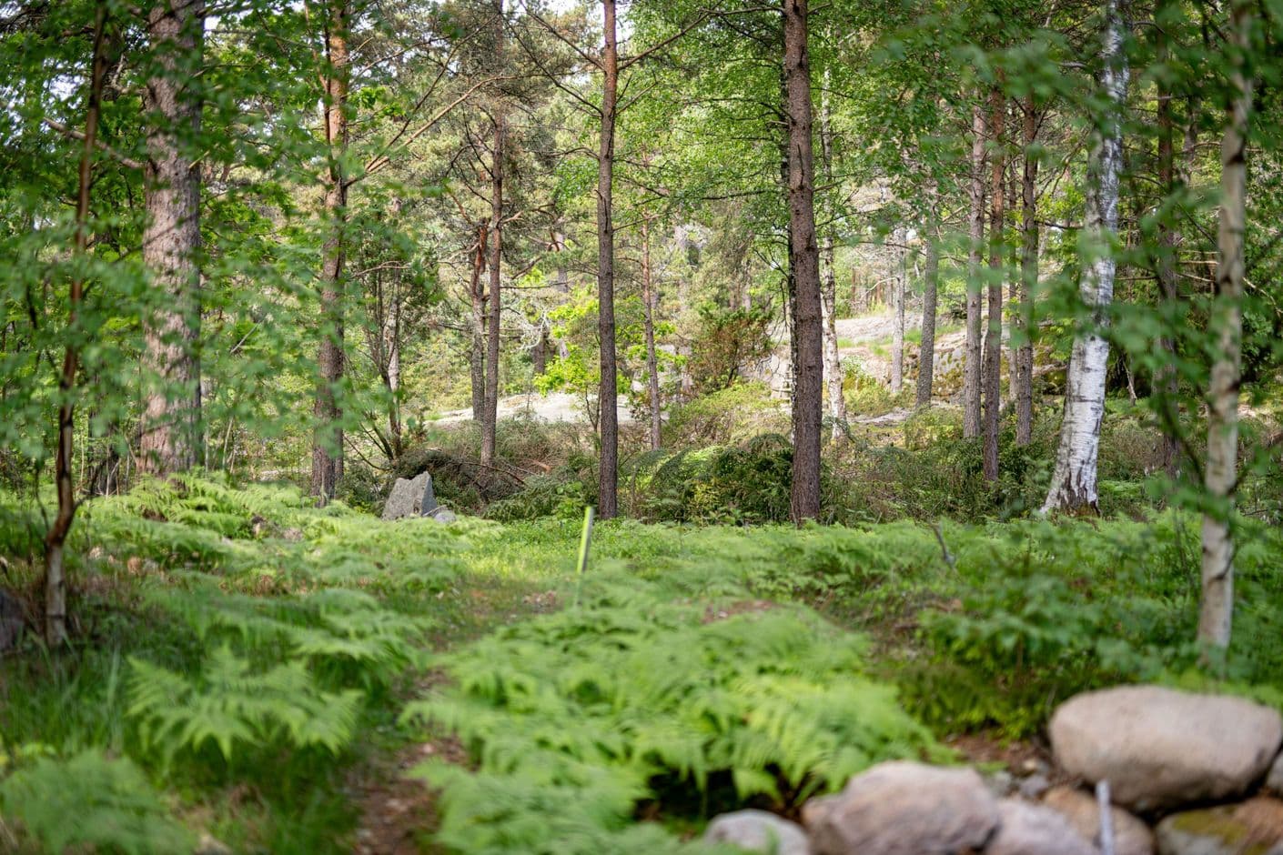 Galtö Södra