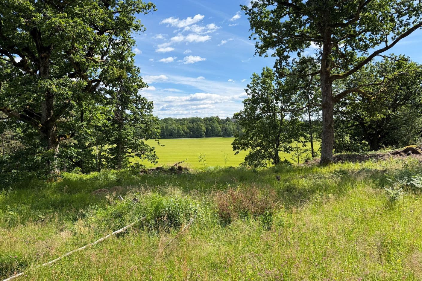 Skee Stafsäng 5