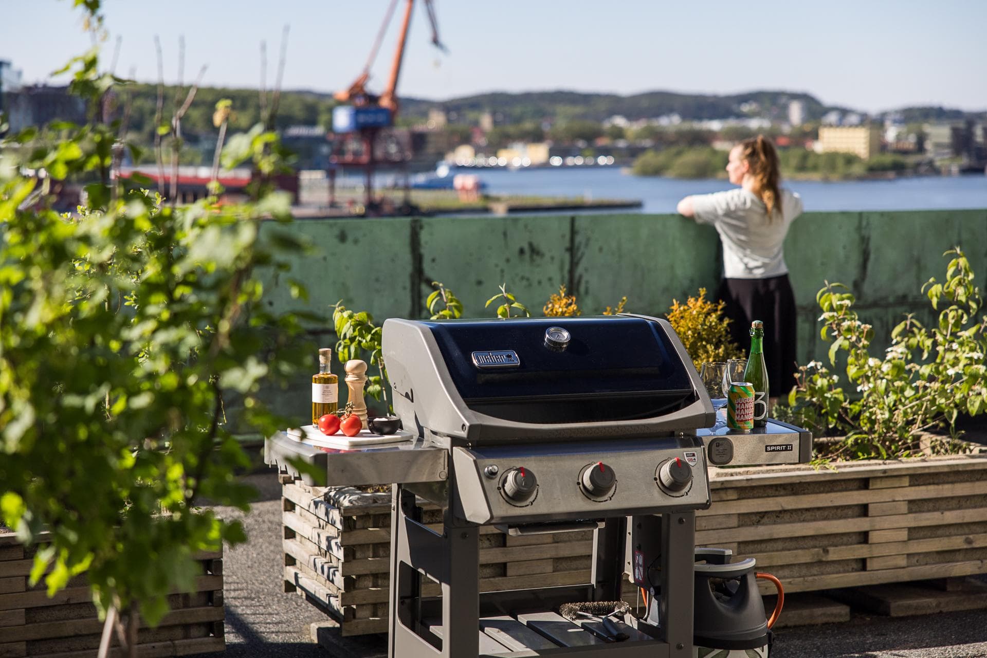 Norra Liden 6