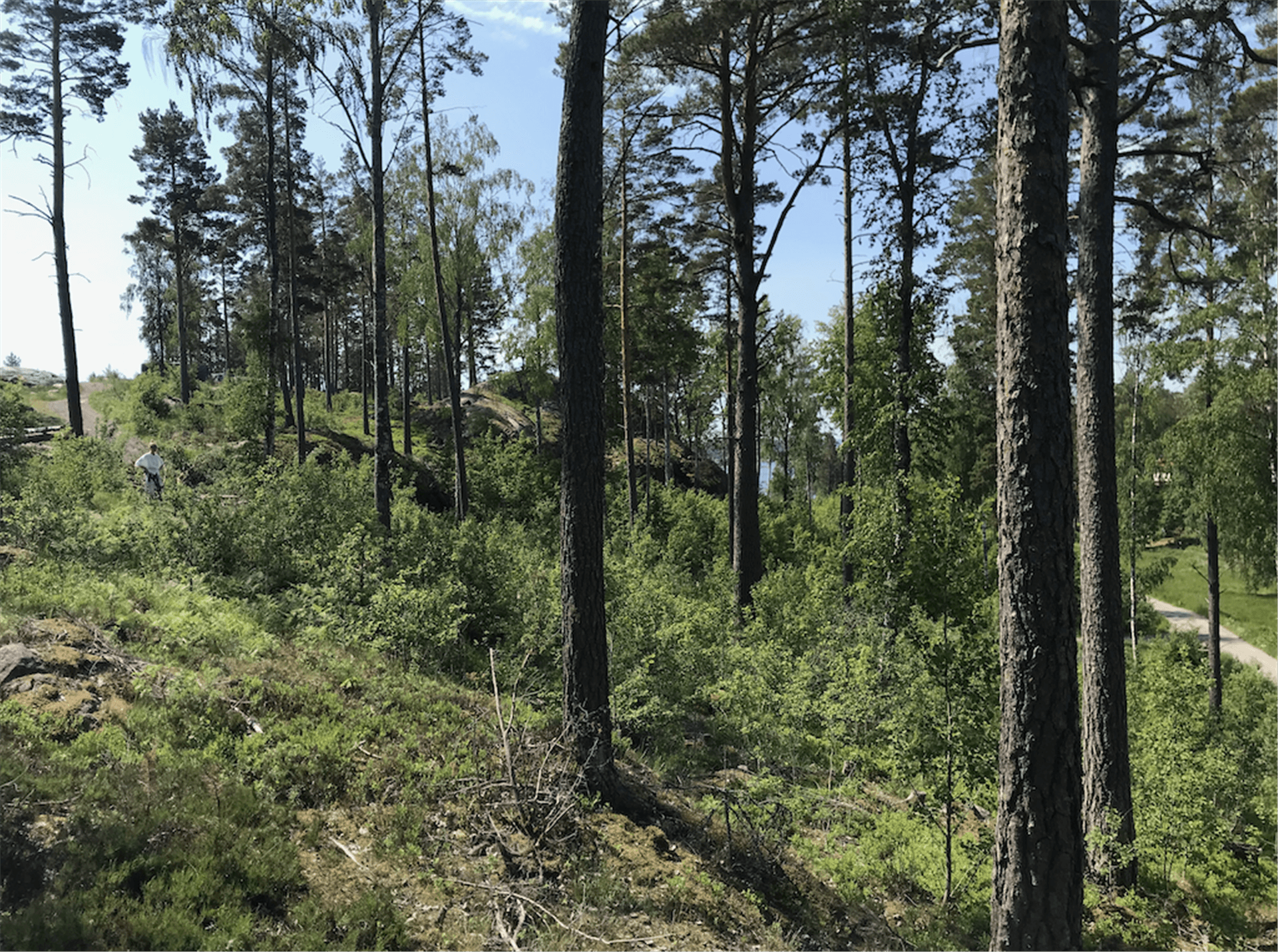 Timrarövägen 14