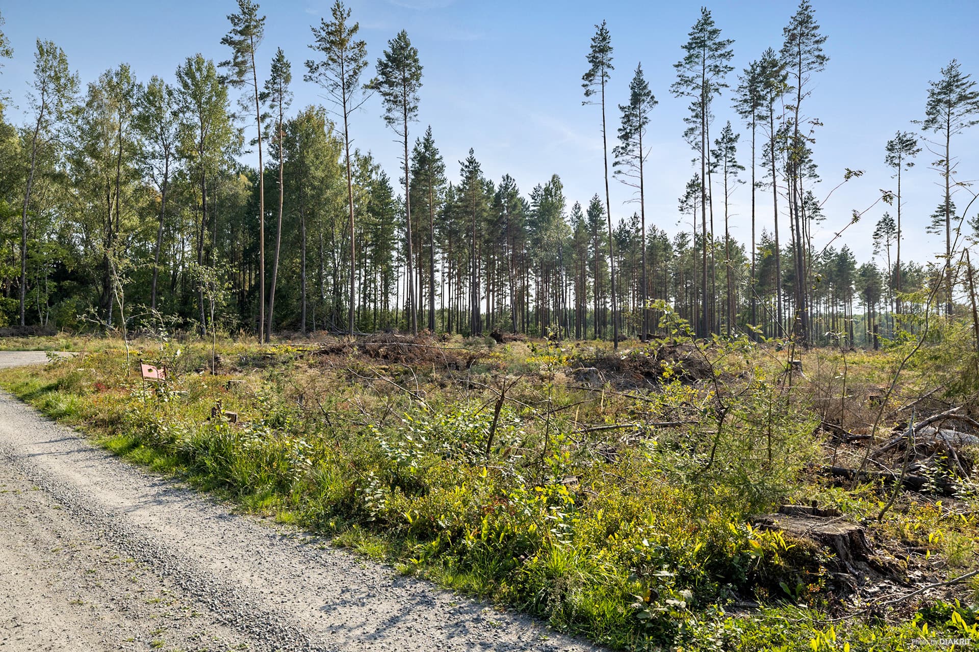 Mellan Långtora 54 och Långtora 55