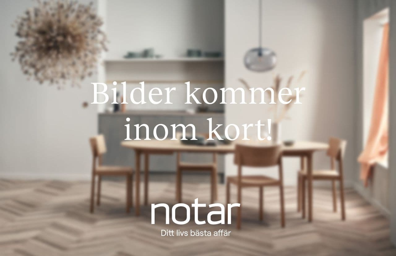 Notar